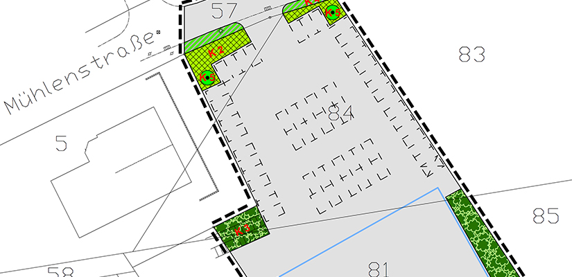 Landschaftspflegerischer Begleitplan zum Bebauungsplan 54 S-Mühlenstraße in Aldenhoven-Siersdorf 