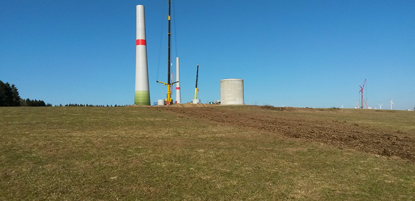 Ökologische Baubegleitung Windpark Schöneseiffen 
